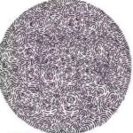 Optical Illusion: You are a certified sniper if you can find all 3 hidden deer in this visual challenge