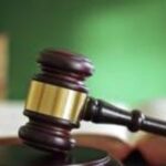 Stray dogs kill elderly man in Bengaluru attack