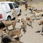 Madras HC bars govt welfare ads with ex-CM photos, party names or symbols